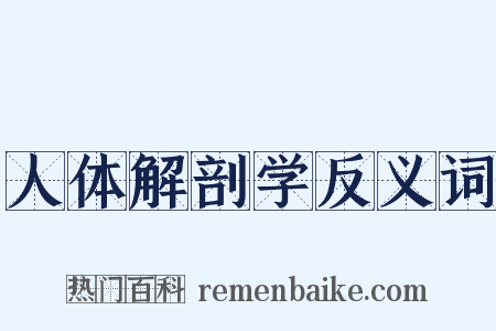 人体解剖学反义词是什么意思的图片
